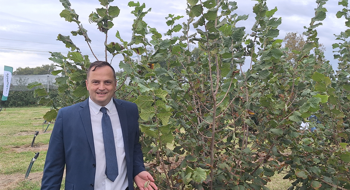 Ilenio Bastoni - Direttore Settore ortofrutta e OP Terremerse